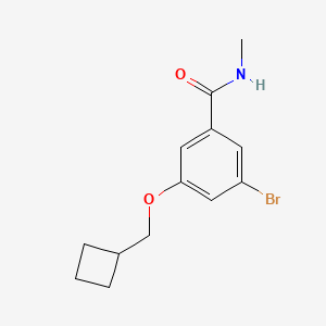 molecular formula C13H16BrNO2 B8159063 3-Bromo-5-(cyclobutylmethoxy)-N-methylbenzamide 