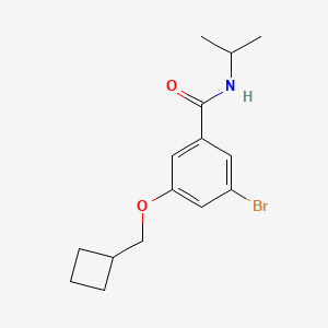 molecular formula C15H20BrNO2 B8159078 3-Bromo-5-(cyclobutylmethoxy)-N-isopropylbenzamide 