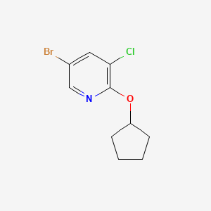molecular formula C10H11BrClNO B8159098 5-Bromo-3-chloro-2-(cyclopentyloxy)pyridine 