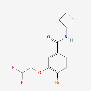 molecular formula C13H14BrF2NO2 B8159341 4-Bromo-N-cyclobutyl-3-(2,2-difluoroethoxy)benzamide 