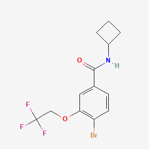 4-Bromo-N-cyclobutyl-3-(2,2,2-trifluoroethoxy)benzamide