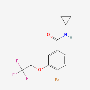 molecular formula C12H11BrF3NO2 B8159347 4-Bromo-N-cyclopropyl-3-(2,2,2-trifluoroethoxy)benzamide 
