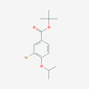 molecular formula C14H19BrO3 B8159507 tert-Butyl 3-bromo-4-isopropoxybenzoate 