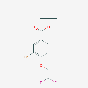 molecular formula C13H15BrF2O3 B8159524 tert-Butyl 3-bromo-4-(2,2-difluoroethoxy)benzoate 