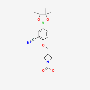 molecular formula C22H31BN2O5 B8159596 tert-Butyl 3-((2-cyano-4-(4,4,5,5-tetramethyl-1,3,2-dioxaborolan-2-yl)phenoxy)methyl)azetidine-1-carboxylate 