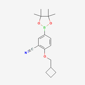 2-(Cyclobutylmethoxy)-5-(4,4,5,5-tetramethyl-1,3,2-dioxaborolan-2-yl)benzonitrile