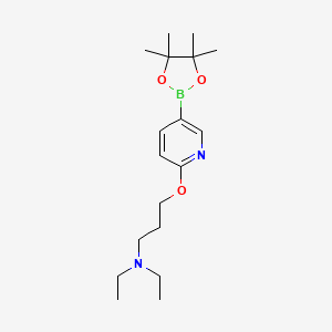 molecular formula C18H31BN2O3 B8159627 N,N-diethyl-3-((5-(4,4,5,5-tetramethyl-1,3,2-dioxaborolan-2-yl)pyridin-2-yl)oxy)propan-1-amine 