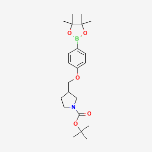 molecular formula C22H34BNO5 B8160231 tert-Butyl 3-((4-(4,4,5,5-tetramethyl-1,3,2-dioxaborolan-2-yl)phenoxy)methyl)pyrrolidine-1-carboxylate 