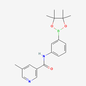 molecular formula C19H23BN2O3 B8160639 5-Methyl-N-(3-(4,4,5,5-tetramethyl-1,3,2-dioxaborolan-2-yl)phenyl)nicotinamide 