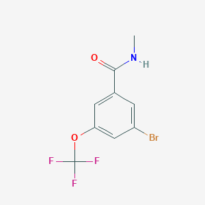 molecular formula C9H7BrF3NO2 B8161474 3-Bromo-N-methyl-5-(trifluoromethoxy)benzamide 