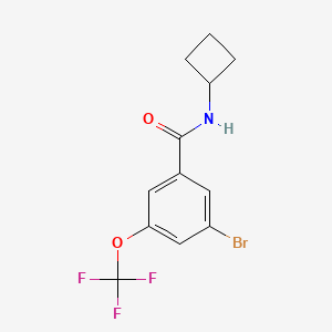 molecular formula C12H11BrF3NO2 B8161489 3-Bromo-N-cyclobutyl-5-(trifluoromethoxy)benzamide 