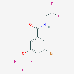 molecular formula C10H7BrF5NO2 B8161503 3-Bromo-N-(2,2-difluoroethyl)-5-(trifluoromethoxy)benzamide 