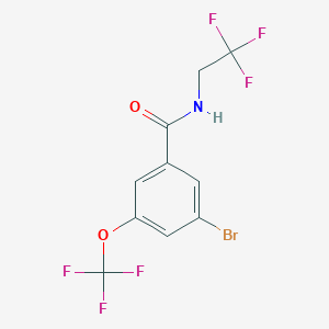molecular formula C10H6BrF6NO2 B8161507 3-Bromo-N-(2,2,2-trifluoroethyl)-5-(trifluoromethoxy)benzamide 