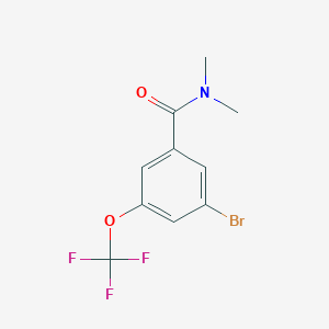 molecular formula C10H9BrF3NO2 B8161518 3-Bromo-N,N-dimethyl-5-(trifluoromethoxy)benzamide 