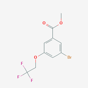 molecular formula C10H8BrF3O3 B8161635 Methyl 3-bromo-5-(2,2,2-trifluoroethoxy)benzoate 