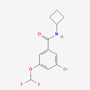 molecular formula C12H12BrF2NO2 B8161785 3-Bromo-N-cyclobutyl-5-(difluoromethoxy)benzamide 