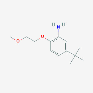 molecular formula C13H21NO2 B8162306 5-tert-Butyl-2-(2-methoxy-ethoxy)-phenylamine 