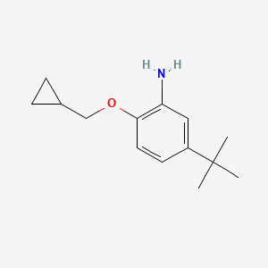 5-tert-Butyl-2-cyclopropylmethoxy-phenylamine
