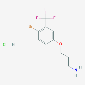 molecular formula C10H12BrClF3NO B8162368 3-(4-Bromo-3-(trifluoromethyl)phenoxy)propan-1-amine hydrochloride 