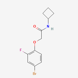 molecular formula C12H13BrFNO2 B8162577 2-(4-Bromo-2-fluorophenoxy)-N-cyclobutylacetamide 