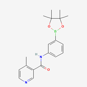 molecular formula C19H23BN2O3 B8162686 4-Methyl-N-(3-(4,4,5,5-tetramethyl-1,3,2-dioxaborolan-2-yl)phenyl)nicotinamide 