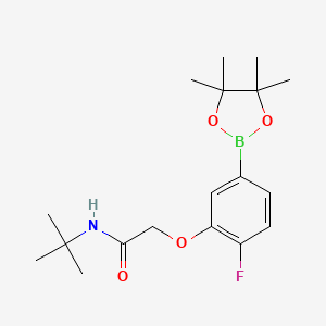 molecular formula C18H27BFNO4 B8162692 N-(tert-butyl)-2-(2-fluoro-5-(4,4,5,5-tetramethyl-1,3,2-dioxaborolan-2-yl)-phenoxy)acetamide 