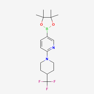 molecular formula C17H24BF3N2O2 B8162974 5-(4,4,5,5-Tetramethyl-1,3,2-dioxaborolan-2-yl)-2-(4-(trifluoromethyl)piperidin-1-yl)pyridine 