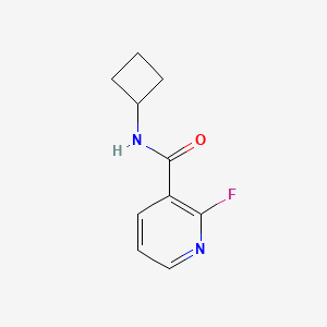 molecular formula C10H11FN2O B8164250 N-cyclobutyl-2-fluoropyridine-3-carboxamide 