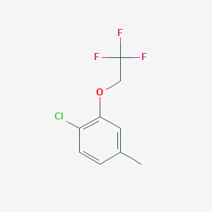 molecular formula C9H8ClF3O B8164415 1-Chloro-4-methyl-2-(2,2,2-trifluoroethoxy)benzene 