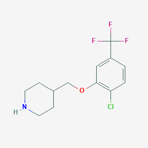 molecular formula C13H15ClF3NO B8164459 4-((2-Chloro-5-(trifluoromethyl)phenoxy)methyl)piperidine 
