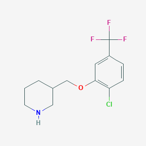 molecular formula C13H15ClF3NO B8164460 3-((2-Chloro-5-(trifluoromethyl)phenoxy)methyl)piperidine 