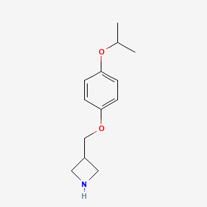 molecular formula C13H19NO2 B8164809 3-((4-Isopropoxyphenoxy)methyl)azetidine 