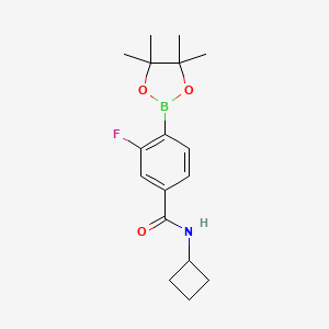 molecular formula C17H23BFNO3 B8165179 N-Cyclobutyl-3-fluoro-4-(4,4,5,5-tetramethyl-1,3,2-dioxaborolan-2-yl)benzamide 