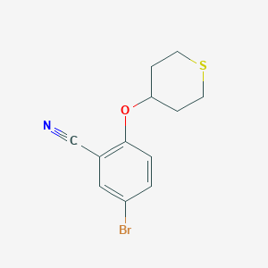 molecular formula C12H12BrNOS B8165271 5-bromo-2-((tetrahydro-2H-thiopyran-4-yl)oxy)benzonitrile 