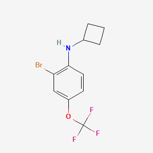 molecular formula C11H11BrF3NO B8165460 2-Bromo-N-cyclobutyl-4-(trifluoromethoxy)aniline 