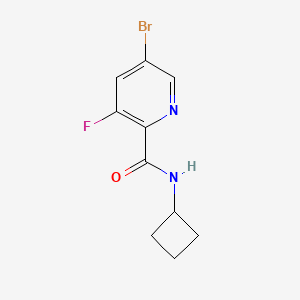 molecular formula C10H10BrFN2O B8165881 5-Bromo-N-cyclobutyl-3-fluoropicolinamide 