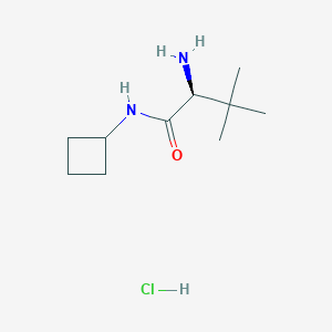molecular formula C10H21ClN2O B8166337 (S)-2-Amino-N-cyclobutyl-3,3-dimethylbutyramide hydrochloride 