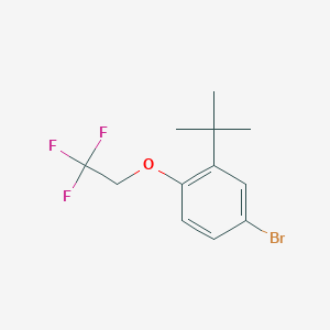 4-Bromo-2-(tert-butyl)-1-(2,2,2-trifluoroethoxy)benzene