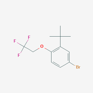 molecular formula C12H14BrF3O B8166744 4-Bromo-2-(tert-butyl)-1-(2,2,2-trifluoroethoxy)benzene 