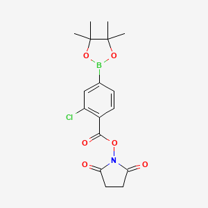 molecular formula C17H19BClNO6 B8167498 2,5-Dioxopyrrolidin-1-yl 2-chloro-4-(4,4,5,5-tetramethyl-1,3,2-dioxaborolan-2-yl)benzoate 