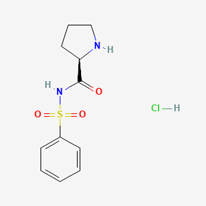 molecular formula C11H15ClN2O3S B8167710 (R)-N-(phenylsulfonyl)pyrrolidine-2-carboxamide hydrochloride 