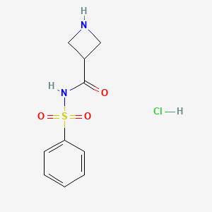 molecular formula C10H13ClN2O3S B8167711 N-(Phenylsulfonyl)azetidine-3-carboxamide hydrochloride 