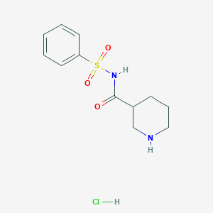 N-(Phenylsulfonyl)piperidine-3-carboxamide hydrochloride