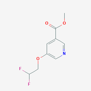 molecular formula C9H9F2NO3 B8168276 Methyl 5-(2,2-difluoroethoxy)nicotinate 