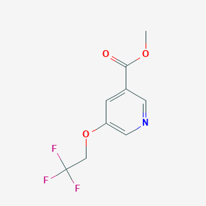 Methyl 5-(2,2,2-trifluoroethoxy)nicotinate