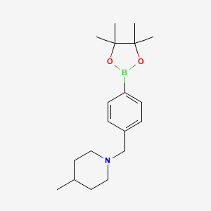 molecular formula C19H30BNO2 B8168751 4-Methyl-1-{[4-(tetramethyl-1,3,2-dioxaborolan-2-yl)phenyl]methyl}piperidine 
