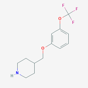 molecular formula C13H16F3NO2 B8168882 4-((3-(Trifluoromethoxy)phenoxy)methyl)piperidine 