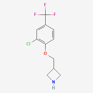 molecular formula C11H11ClF3NO B8169230 3-((2-Chloro-4-(trifluoromethyl)phenoxy)methyl)azetidine 