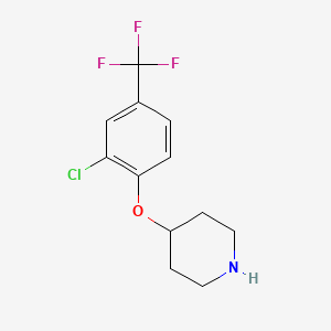 molecular formula C12H13ClF3NO B8169232 4-[2-Chloro-4-(trifluoromethyl)phenoxy]piperidine 