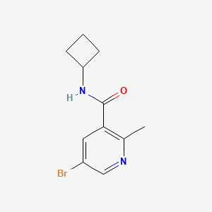 molecular formula C11H13BrN2O B8169445 5-Bromo-N-cyclobutyl-2-methylnicotinamide 
